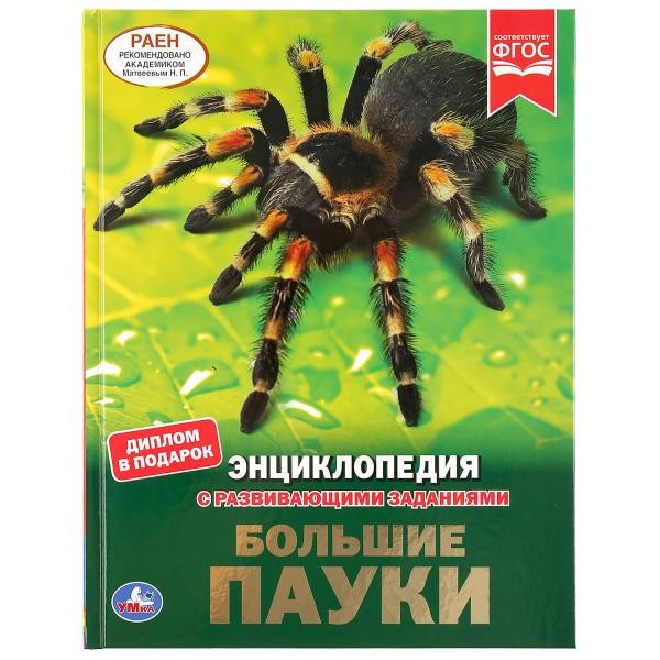 Книга Умка 9785506043096 Большие пауки .Энциклопедия с заданиями