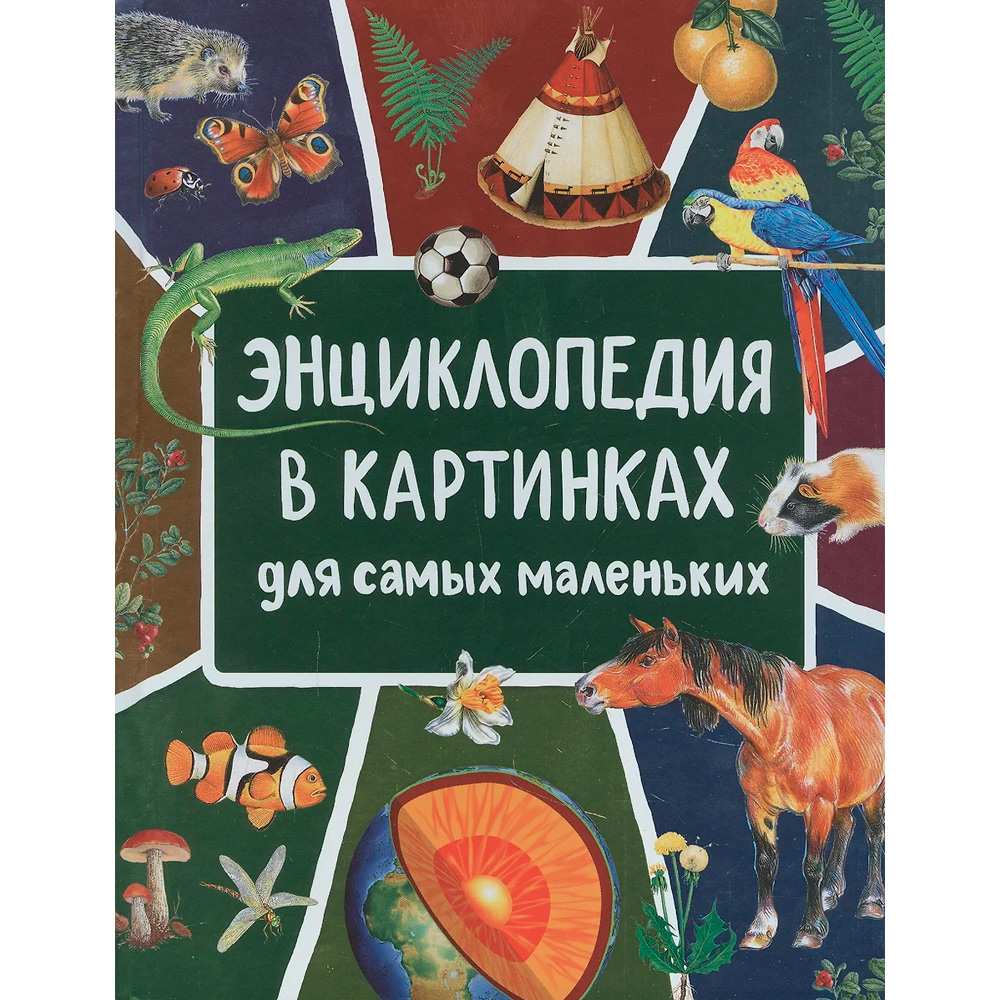 Книга 978-5-353-09911-6 Энциклопедия в картинках для самых маленьких 