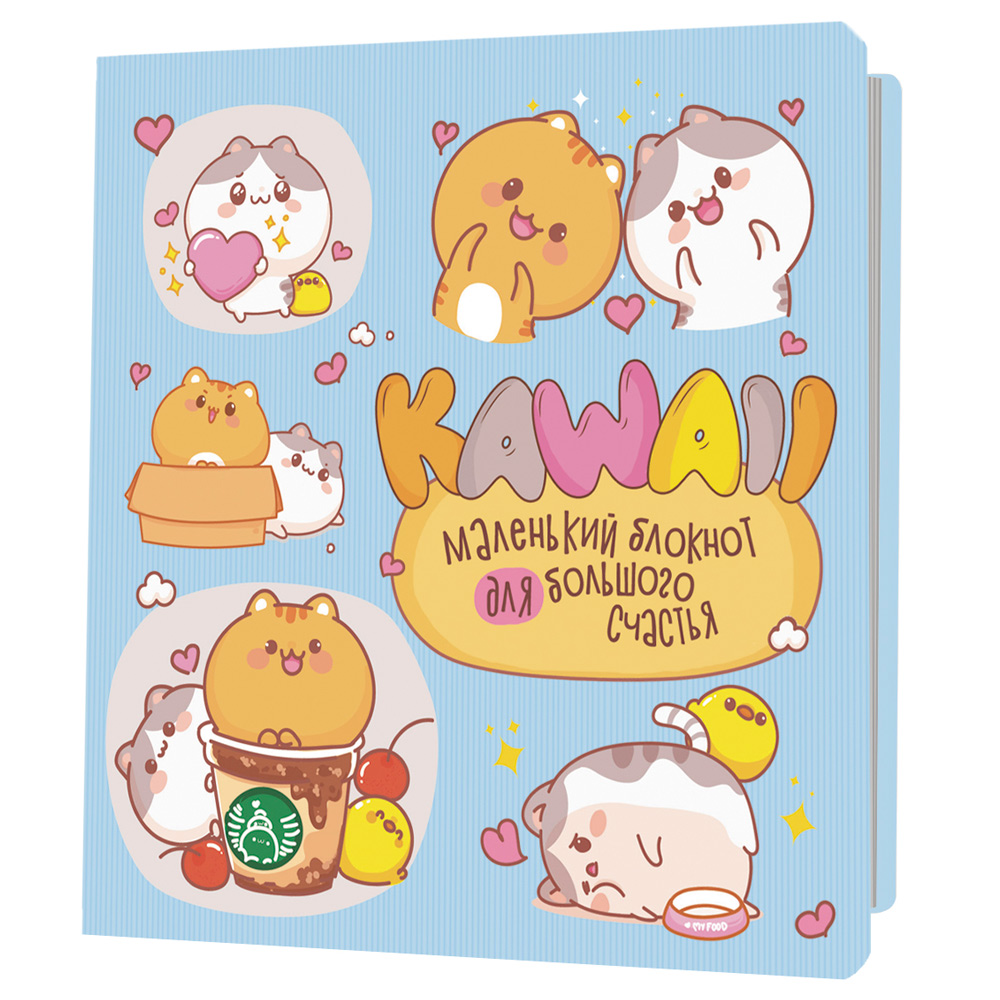 Блокнот 30 л Kawaii.Маленький блокнот для большого счастья голубой  978-5-00141-801-6 ст. 30