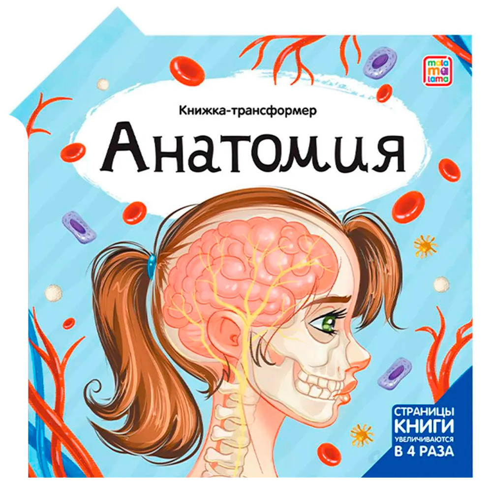 Книга-трансформер 9785001349228 Анатомия